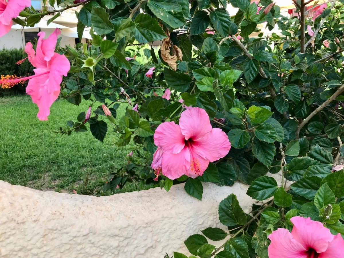 Apartamento 2 Dormitorios En Primera Linea De Playa San Cristobal Almuñécar Εξωτερικό φωτογραφία